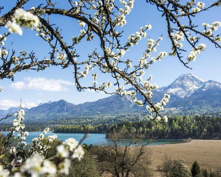 New Life Apartment Latschach ober dem Faakersee Esterno foto
